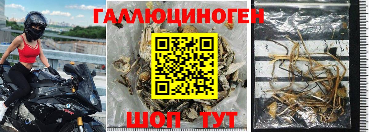 Калуга  Галлюциногенные грибы GOLDEN TEACHER  Вход с VPN 