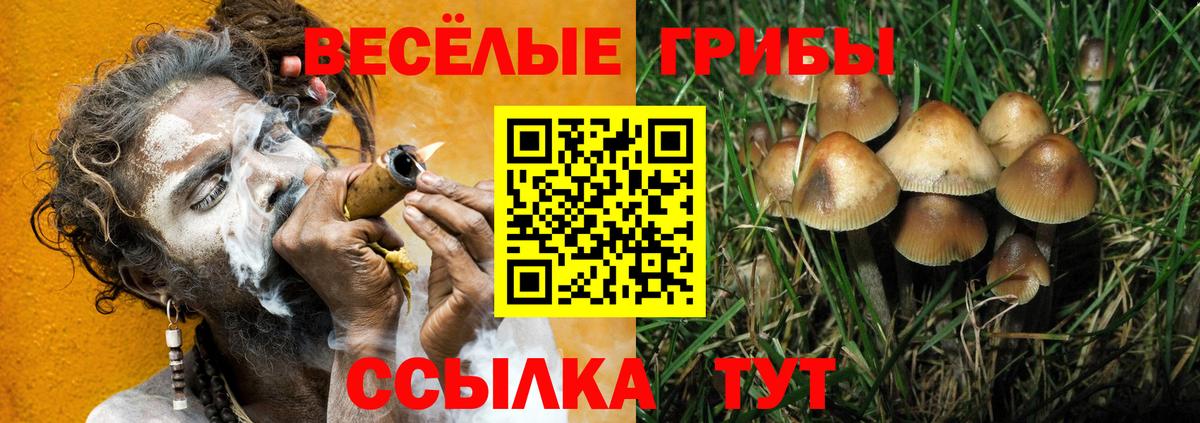 Псилоцибиновые грибы мухоморы Калуга